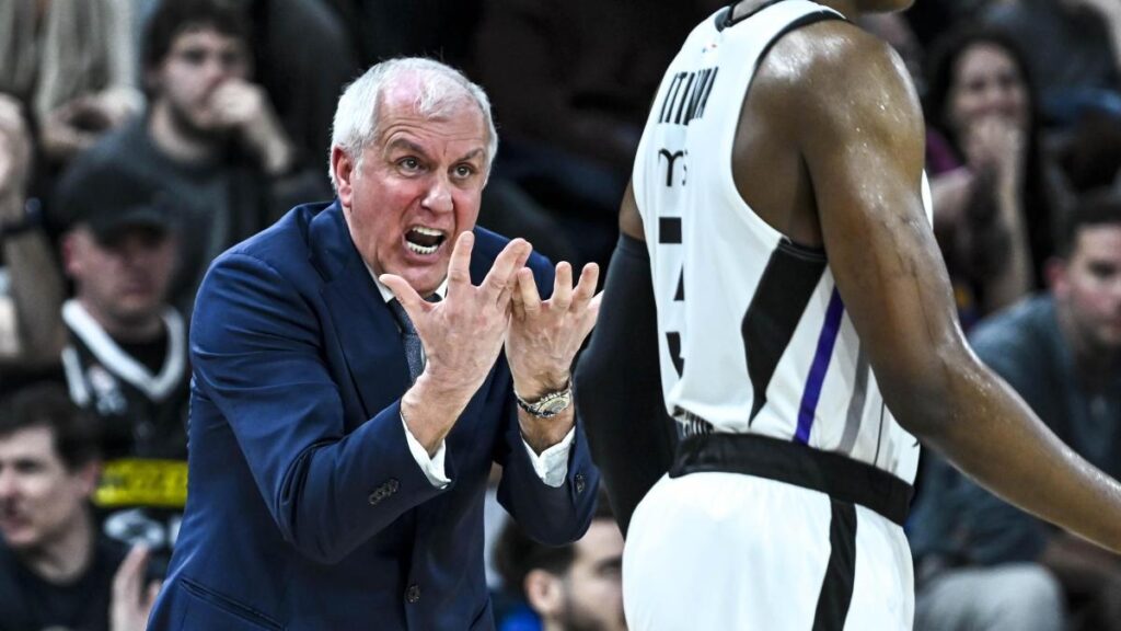 "Zeljko Obradovic necesita un proyecto. Cualquier decisión que tome será buena"