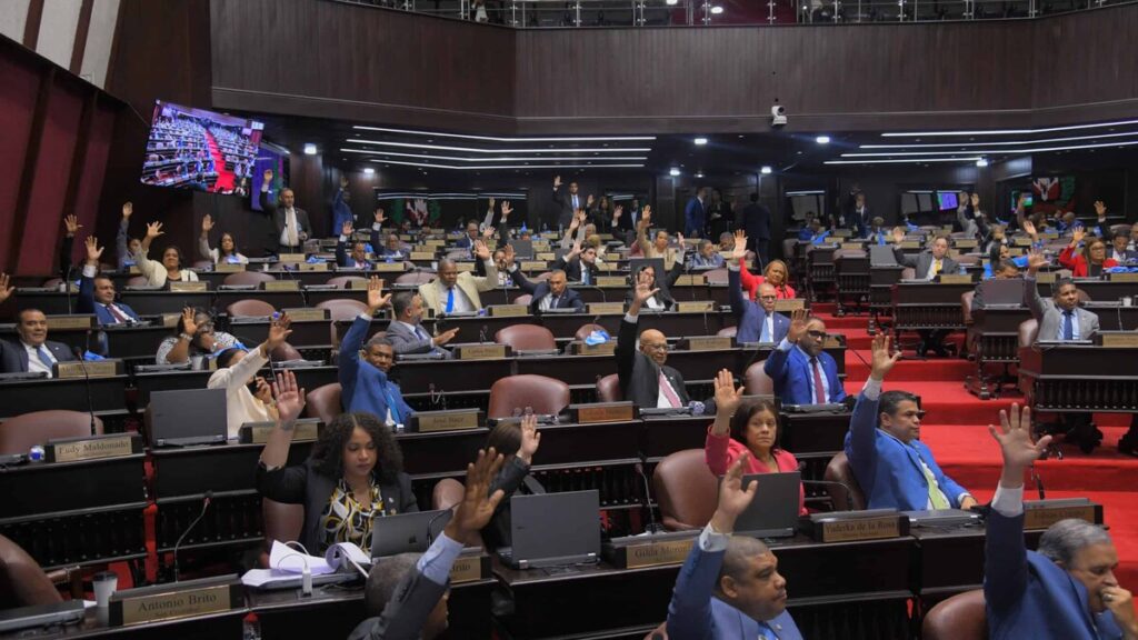 La laguna constitucional que deja en entredicho la ley observada por Abinader