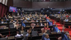 La laguna constitucional que deja en entredicho la ley observada por Abinader