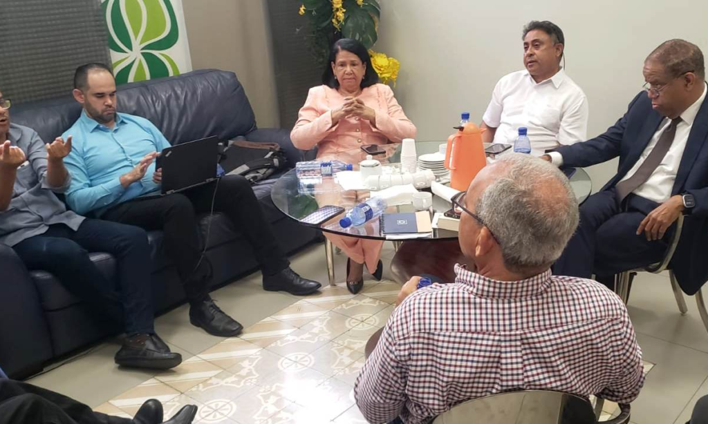 PLD pasa balance a logros en la implementación de su Línea Organizativa y Electoral