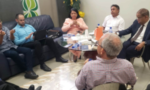 PLD pasa balance a logros en la implementación de su Línea Organizativa y Electoral