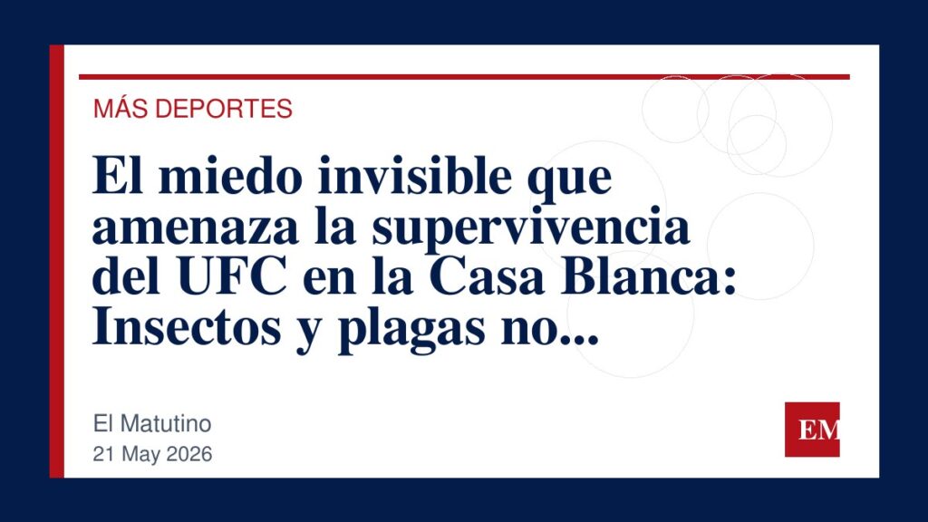 Imagen editorial de El Matutino para El miedo invisible que amenaza la supervivencia del UFC en la Casa Blanca: Insectos y plagas no deseadas
