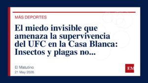Imagen editorial de El Matutino para El miedo invisible que amenaza la supervivencia del UFC en la Casa Blanca: Insectos y plagas no deseadas