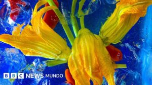 **"Lavanda, hibisco y bugambilia: las flores comestibles de tu jardín que esconden sorprendentes nutrientes"**
