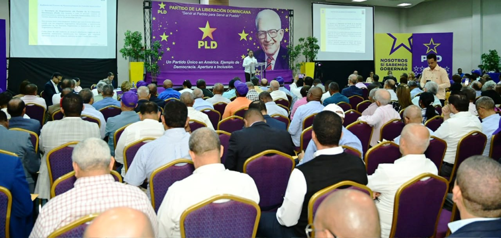 Comisión del PLD orienta a dirigentes sobre vinculación de estructuras a colegios electorales