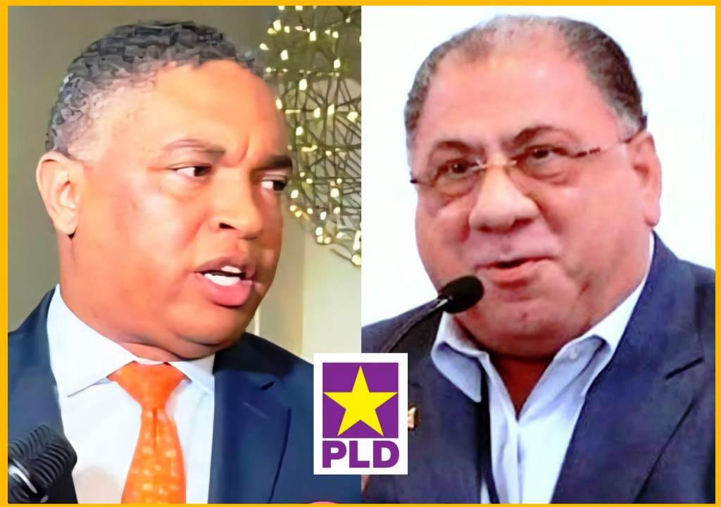 Fadul afirma los partidos no pueden esperar hasta 2027 para fortalecer su organización