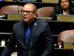 Diputado Rafael Castillo anuncia precandidatura a la alcaldía de SDE