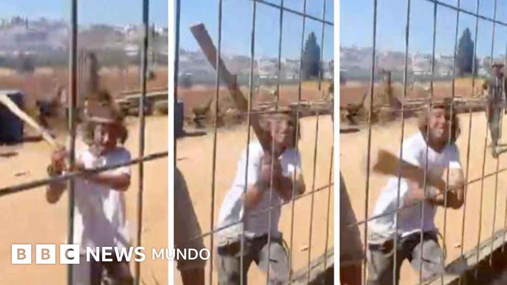 Vivir bajo asedio": el drama de los palestinos de Cisjordania que ven sus hogares convertidos en cárceles por los ataques de colonos israelíes