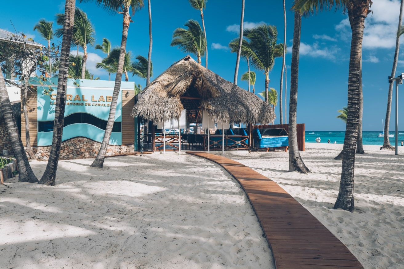 Iberostar lidera innovadora apuesta científica para salvar los corales de República Dominicana