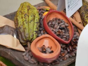 las-exportaciones-del-cacao-alcanzaron-los-us669-millones-en-2025-f14bbcc7-focus-0-0-400-300