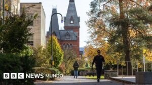 Escándalo en Cornell: investigan presunta violación múltiple en fraternidad universitaria