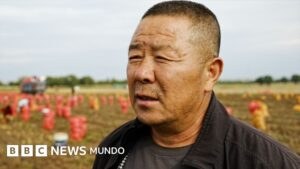 Papa, drones y chips: el campo chino que se convirtió en epicentro de la batalla tecnológica con EE.UU.