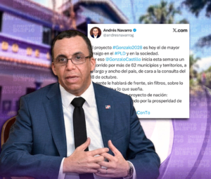 Navarro revela plan de Gonzalo Castillo: recorrerá 62 municipios antes de consulta del PLD