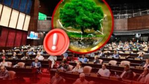 Decreto-ambiental-sacude-proyecto-engavetado-en-la-Camara-de-Diputados-1-355x200-1