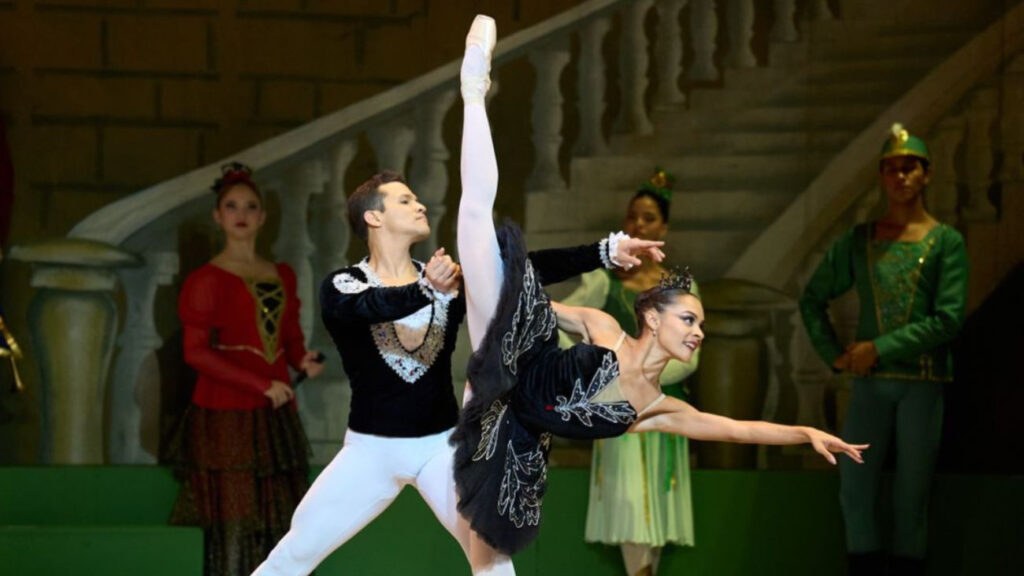 Foto-web_28