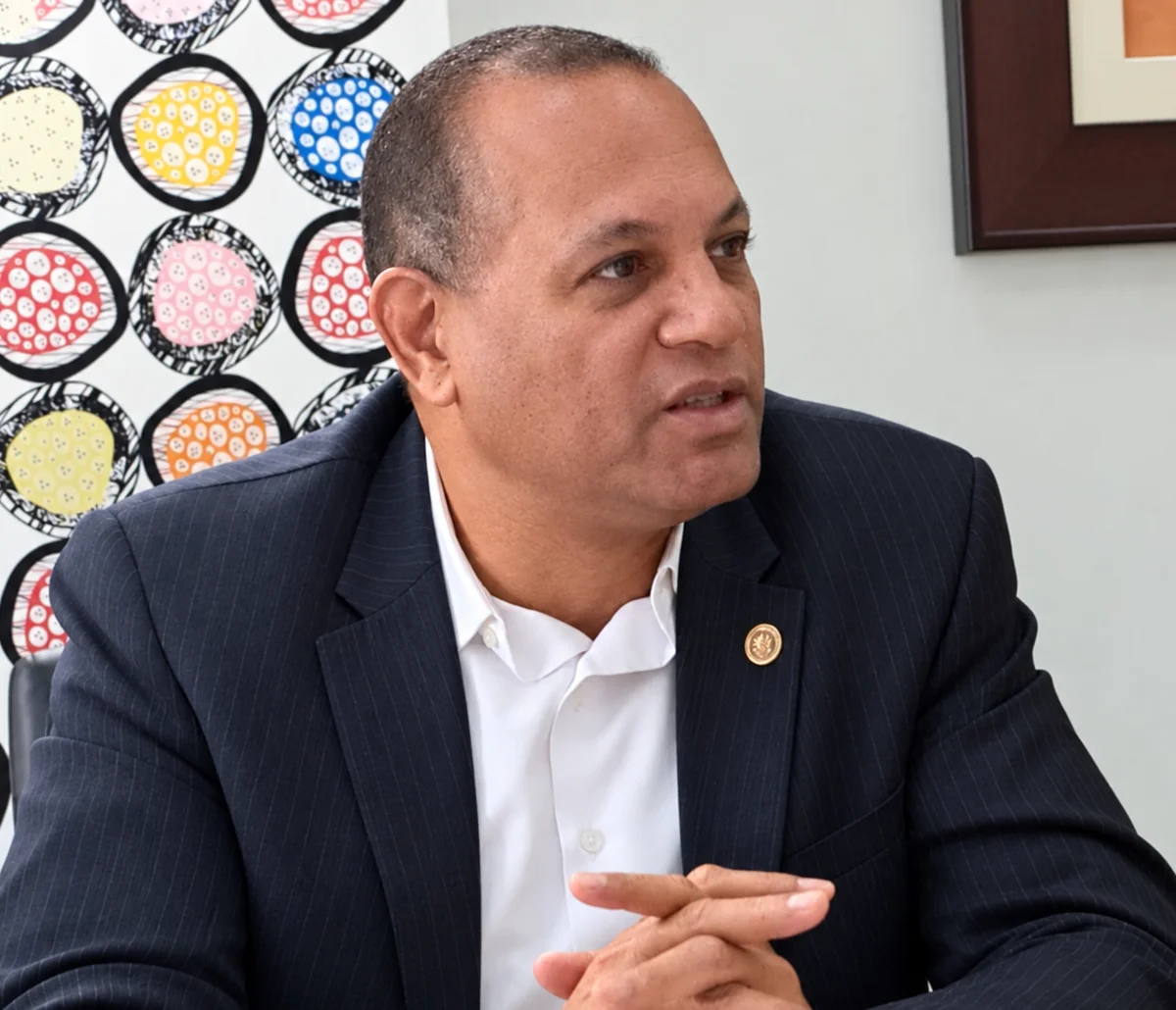 PLD proclama este sábado su candidato a la presidencia del CARD