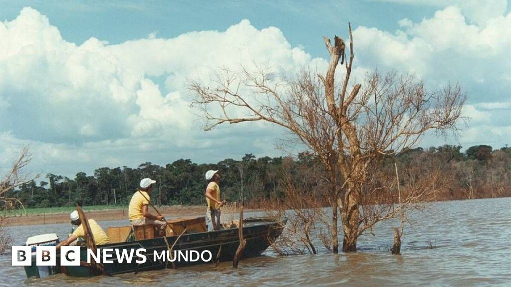 Itaipú: la operación que salvó a 30.000 animales antes de la represa entre Paraguay y Brasil