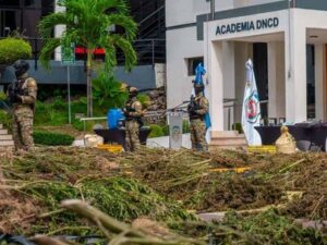 mas-de-cinco-personas-arrestadas-por-plantacion-de-mariahana-en-2026-651df4c8-focus-0-0-400-300