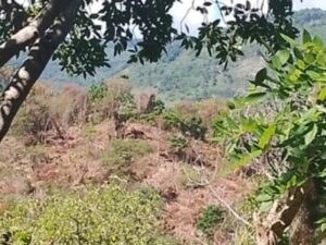presas-en-rio-nizaito-y-su-impacto-ambiental-a1f9e47d-focus-0-0-400-300