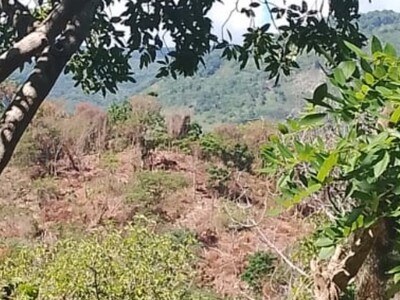 presas-en-rio-nizaito-y-su-impacto-ambiental-a1f9e47d-focus-0-0-400-300