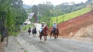 6ac18d6cda6d8