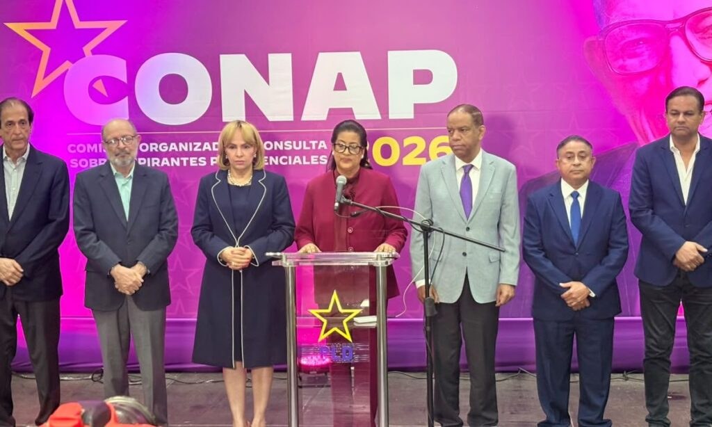 PLD frena consulta ciudadana de octubre para definir candidato presidencial