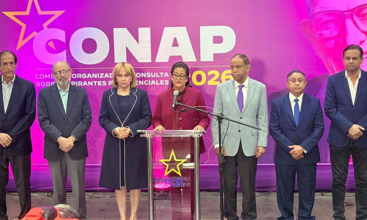 PLD frena consulta ciudadana de octubre para definir candidato presidencial