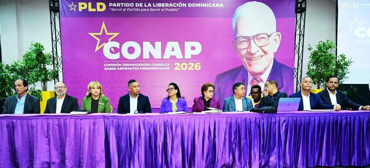 PLD pide a sus militantes calma y disciplina tras cancelar consulta interna